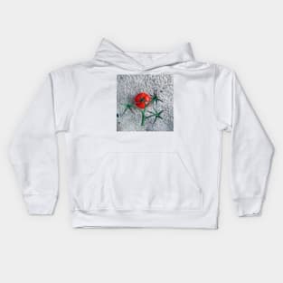 Ripe Red Tomato and Stems Kids Hoodie